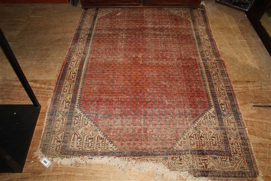 Red & Blue rug(-)